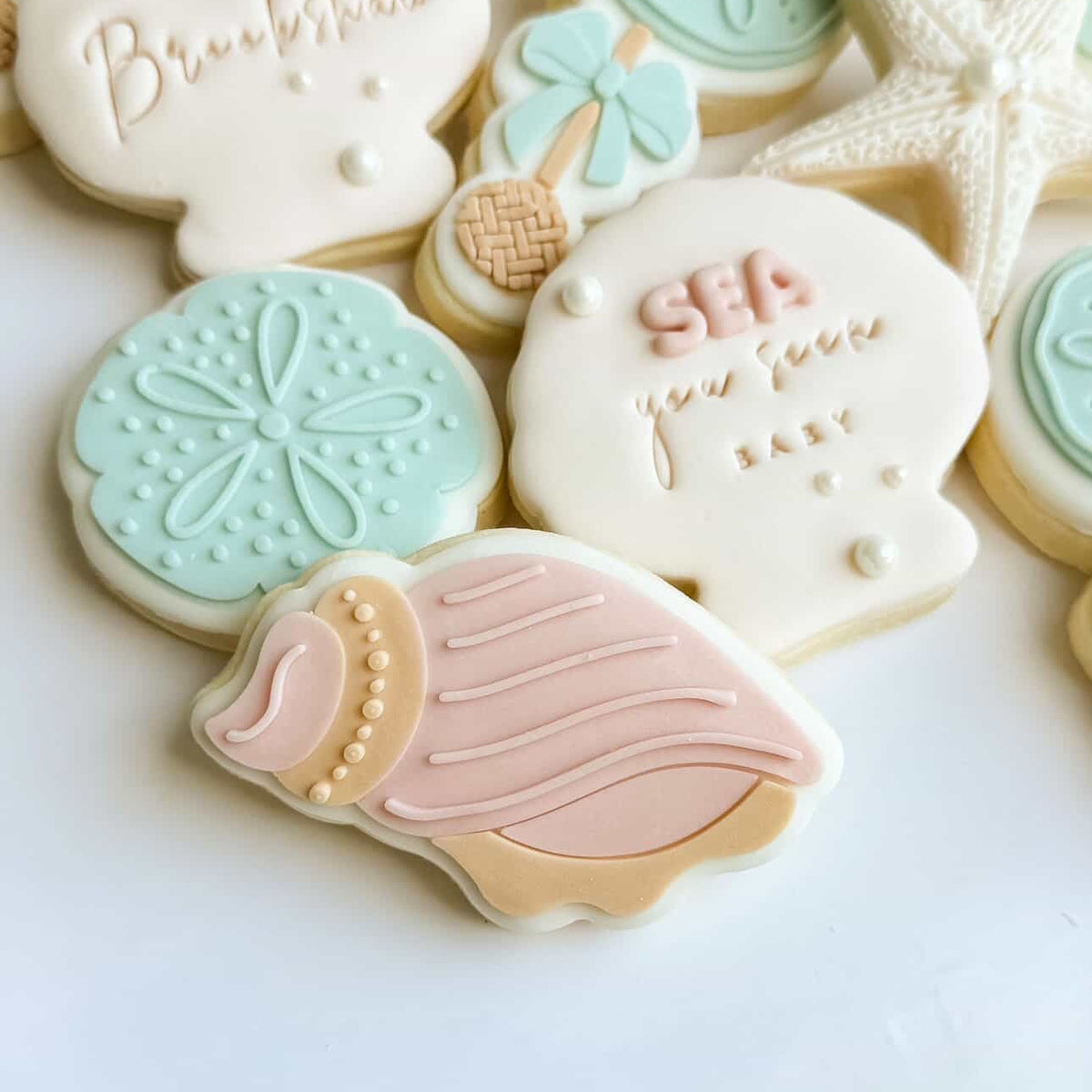 Tulip Seashell Cookie Stamp & Cutter